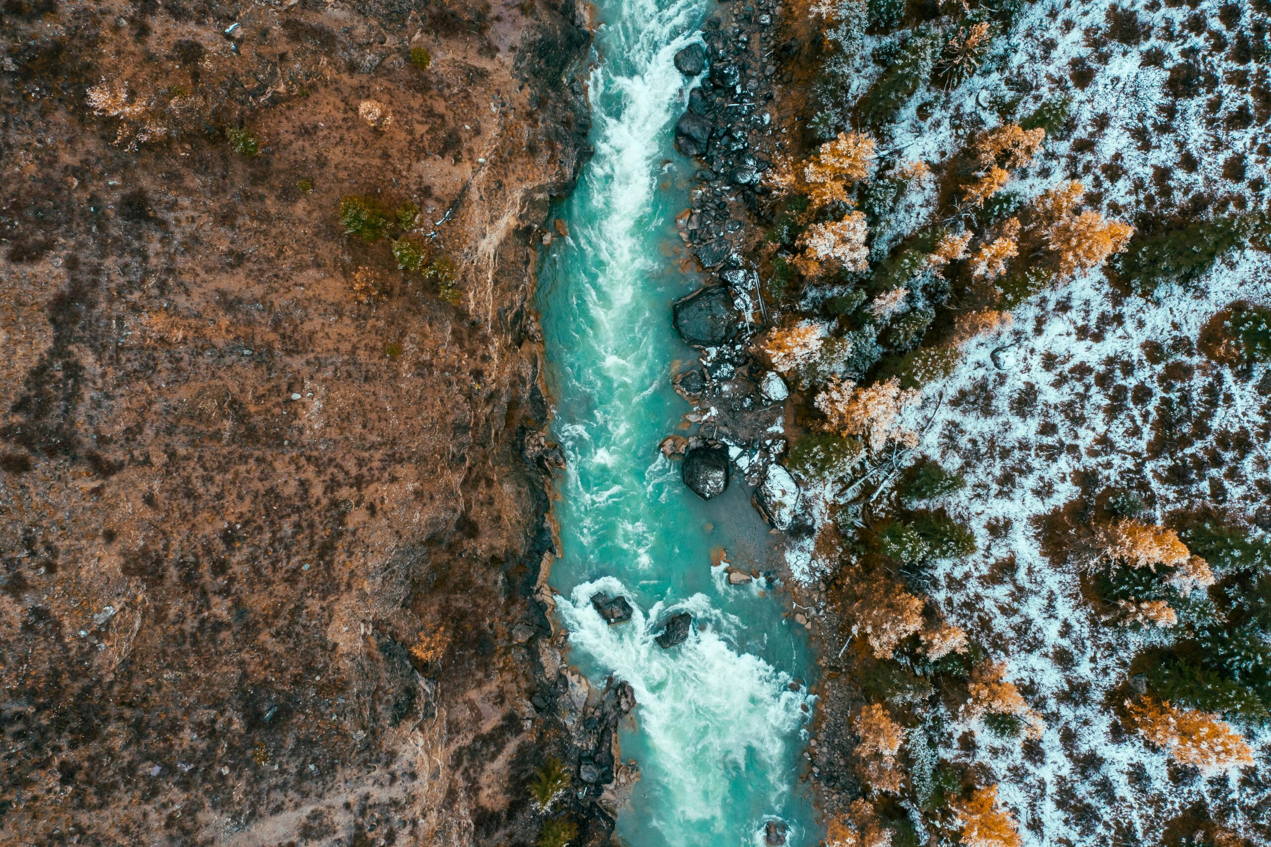 Immagine di sfondo del Consiglio di Bacino Veneto Orientale
